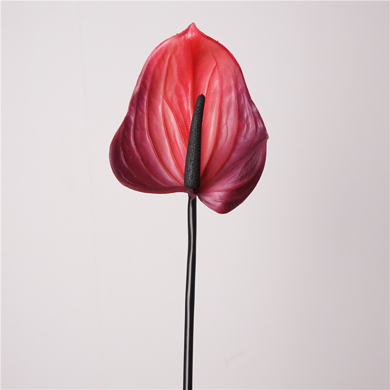 Colle douce anthurium-fuchsia
