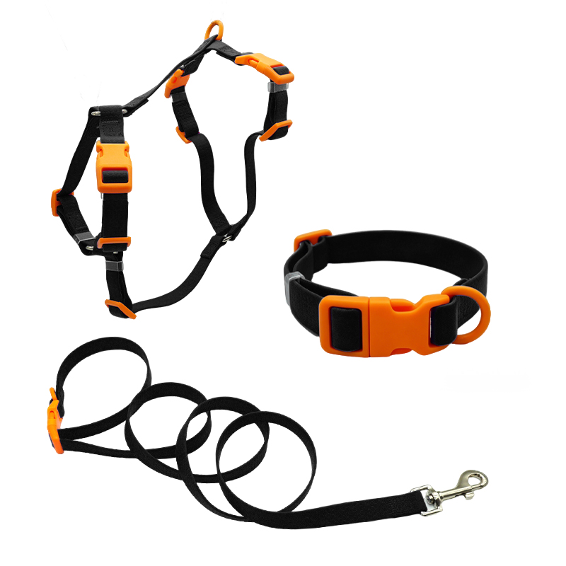 Black+orange