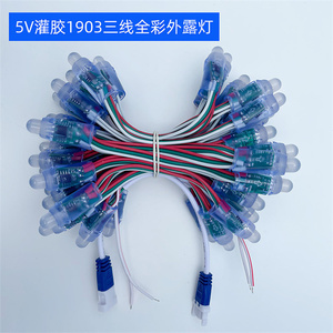 Digital <strong>LED</strong> <strong>Pixel</strong> Light 12mm WS2811 IC Full Color <strong>Pixel</strong> High <strong>LED</strong> Module Light DC 5V Input IP68 Waterproof <strong>RGB</strong> Color - Product Image 3