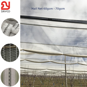 HDPE Plastic <strong>Nets</strong> 60-90 Gsm Hail Netting <strong>Excellent</strong> Value for Vegetable Garden Grape Apple Orchard Protection Insect <strong>Net</strong> Cutting