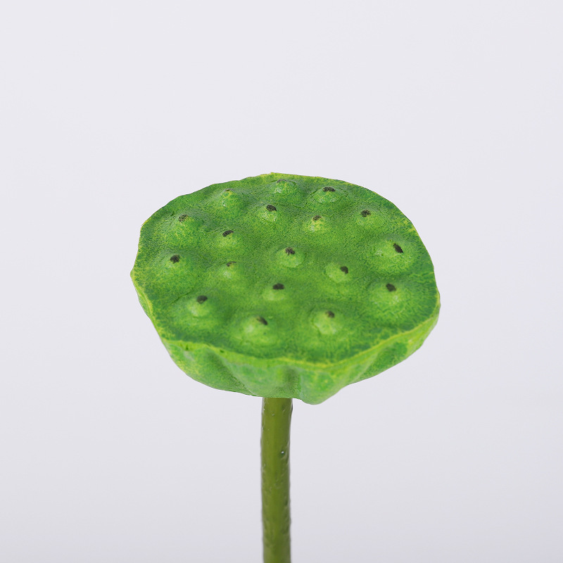 Seedpod3 #
