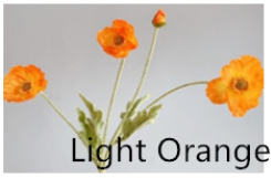 light orange