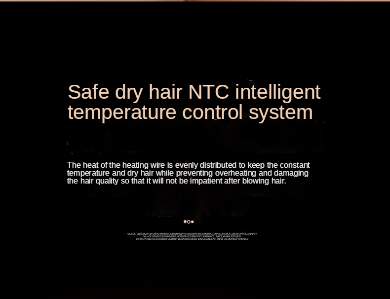 Hair Dryers 2021 Professional Standing Hair Dryer high-power In Stock Ionic Infrared Salon Best Price Hair Dryer hotel household