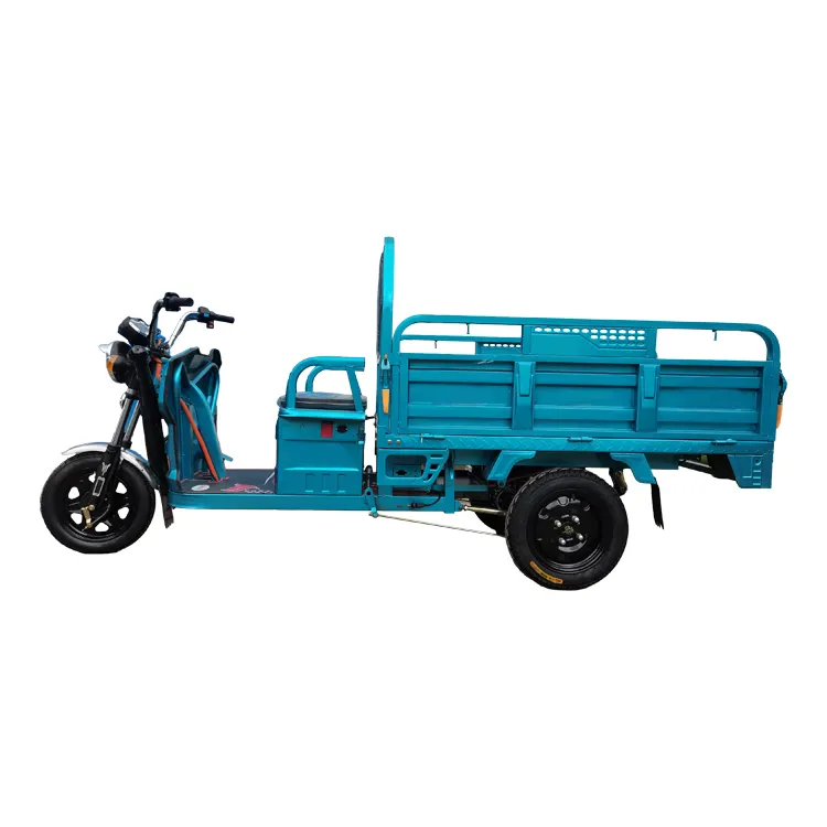 Vente en gros de tricycle électrique pour le transport de passagers tricycle électrique de voiture de fret de Chine tricycle électrique de cargaison de ferme à 3 roues couvert de carrosserie 2 places
