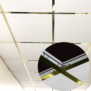 Thiết kế hiện đại màu đen thả các thành phần lưới Trần sơn <span class=keywords><strong>Keel</strong></span> T-Bar treo chính TEE Dễ dàng cài đặt - Product Image 4