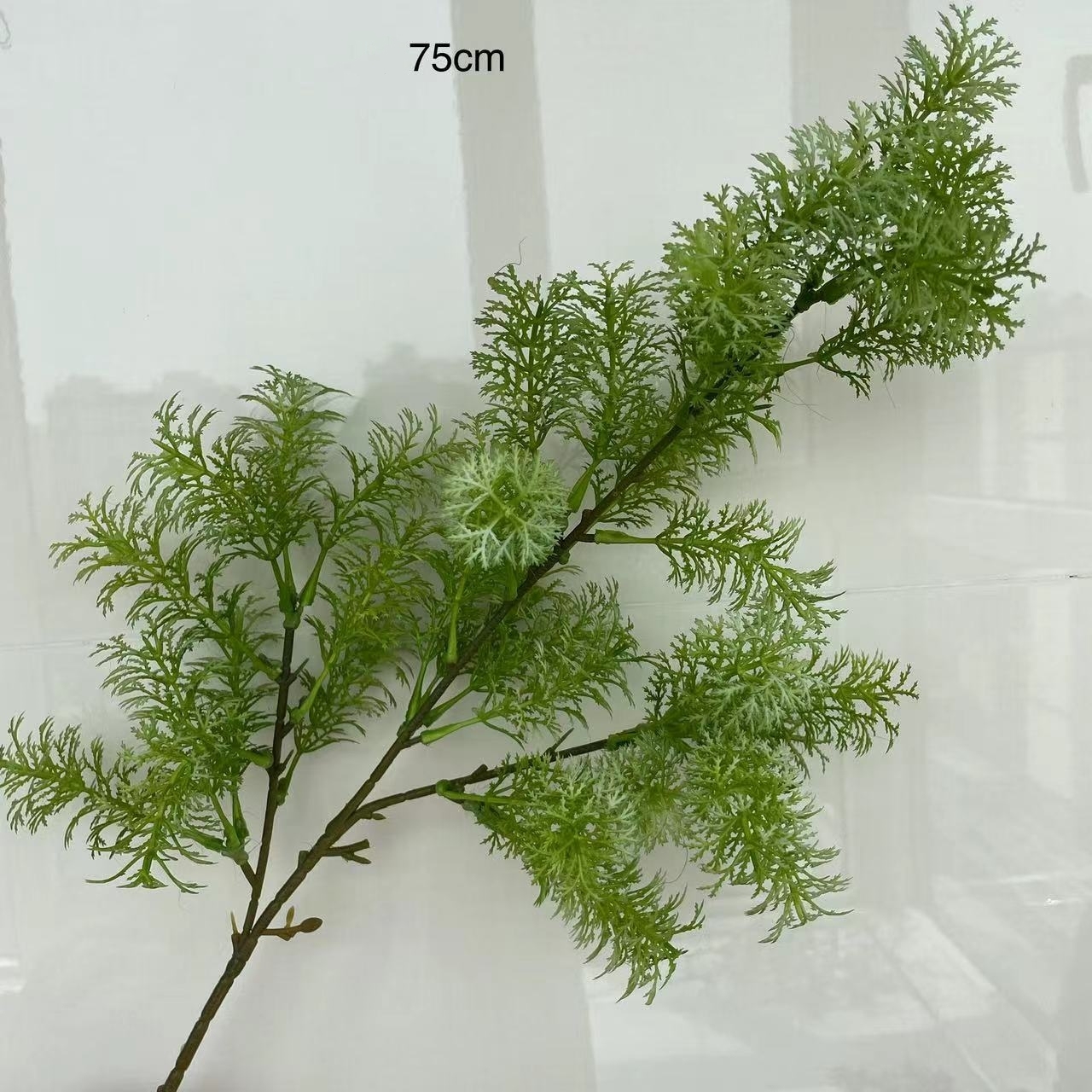 16 #75cm