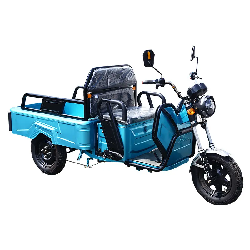 Cheap 12 Inch Long Range 60V 800W electric trike Powerful adult 3 wheel electric cargo tricycle For Sale