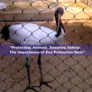 304 paslanmaz çelik kafes örgü ve hayvan halat örgü-çift amaçlı güvenlik anti-sonbahar koruma ağı - Product Image 3