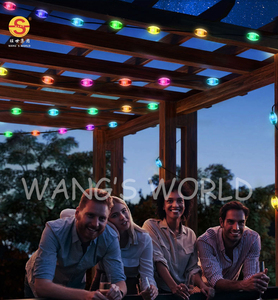 Smart Led String Weihnachts beleuchtung Sound Control APP Garten dekoration im Freien USB Smart String Lights - Product Image 5