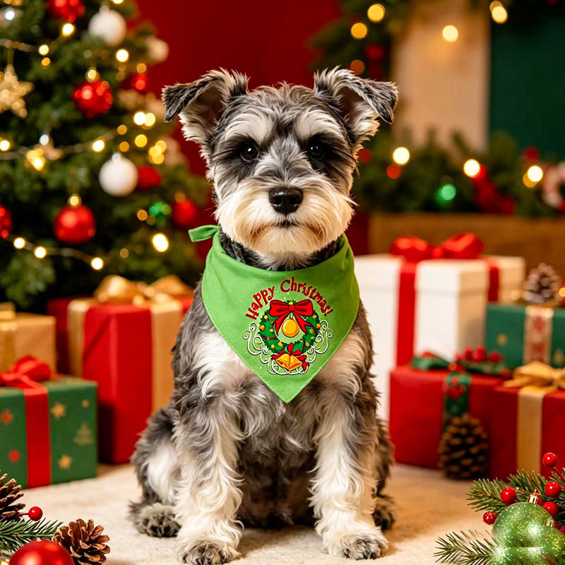 Style de Noël C