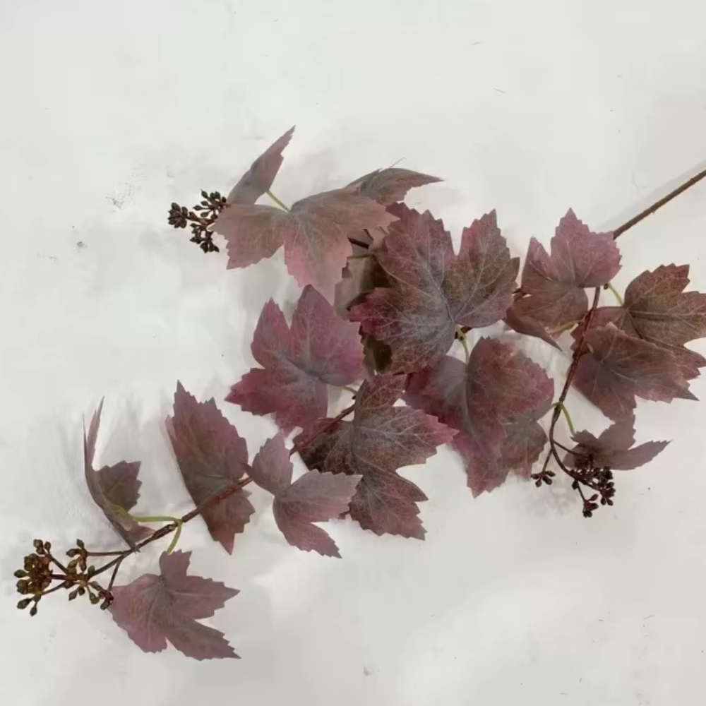 Grape leaves-autumn red
