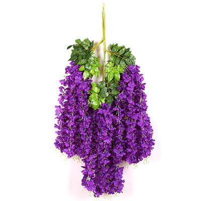 Pourpre