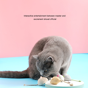 Ratón de peluche con hierba gatera para mascotas, juguete interactivo para gatos - Product Image 2