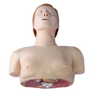 ADA <strong>Basic</strong> CPR Training Model (Half Body) and Half Body CPR Training Model (Male) with Half Body CPR Training Model (Female) - Product Image 2