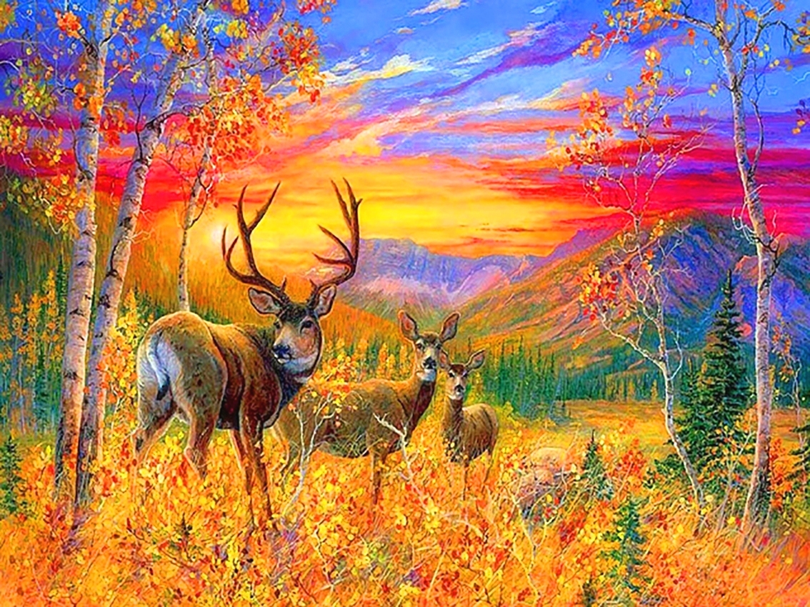 17