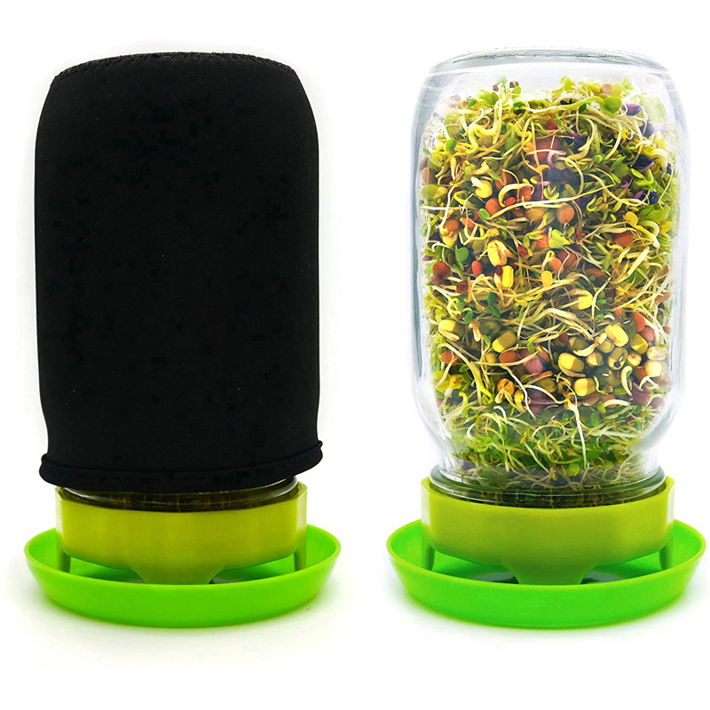 D10 * H17CM,430G,32OZ