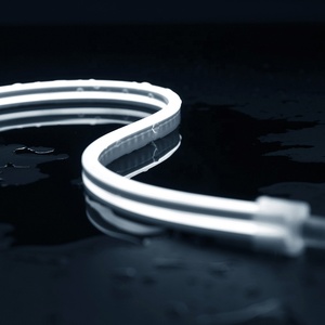 DC24V 0410 Copper <strong>Led</strong> Neon Light with IP20 Rating