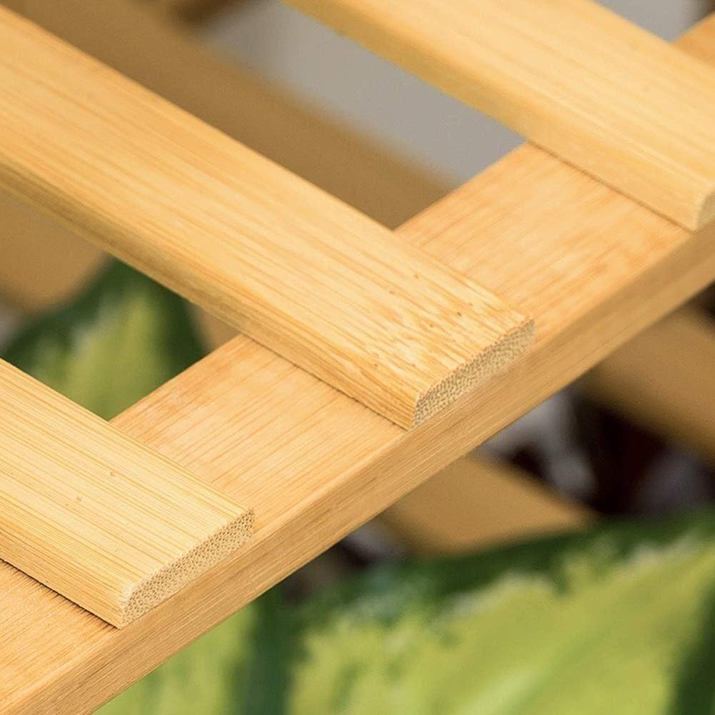 Bamboo