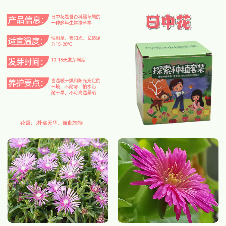 Ensemble de plantation de fleurs Rizhong