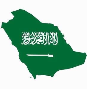 Suudi arabistan için nakliye acentesi gemi Dhl Ddp nakliye navlun iletici lojistik kargo nakliye çin'den suudi arabistan'a - Product Image 1
