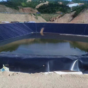 Industrial Design Double Smooth Fish Farm Shrimp Pond Liner <strong>HDPE</strong>/LDPE Waterproof Geomembrane 0.5MM-3MM Thickness - Product Image 6