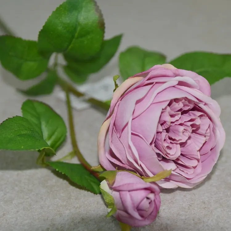 Горячая Распродажа низкая оптовая цена высокое качество искусственный цветок Остин Роза для свадебного декора, украшение для мероприятий