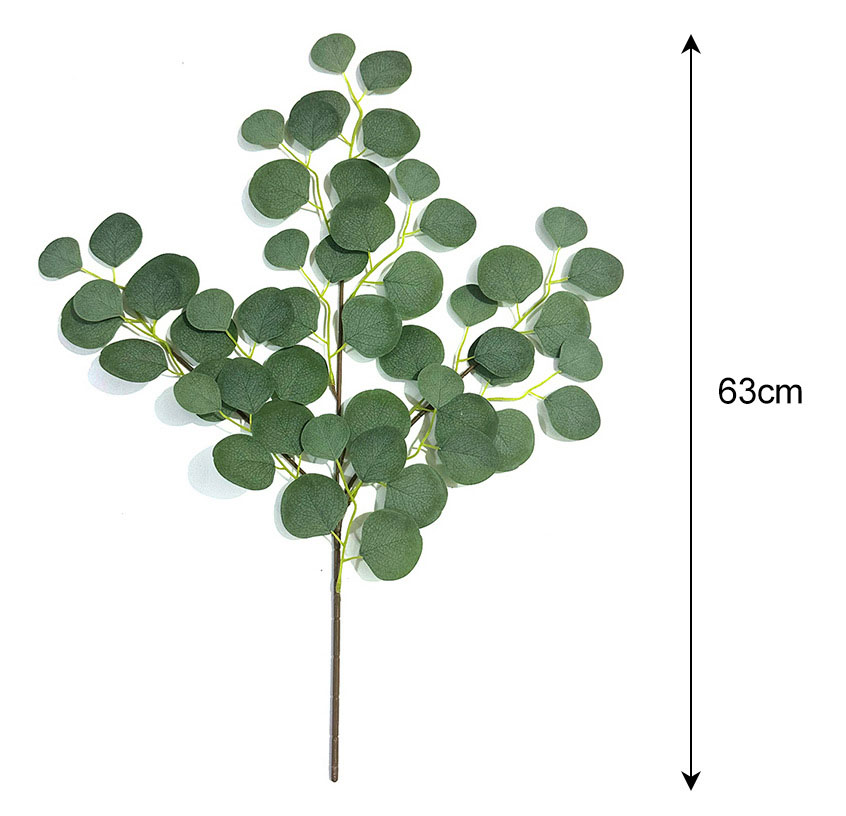 Eucalyptus