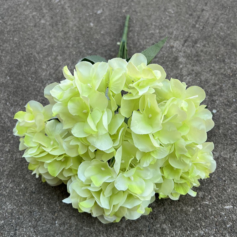 15 #6 cabeza de hortensia finlandesa-verde