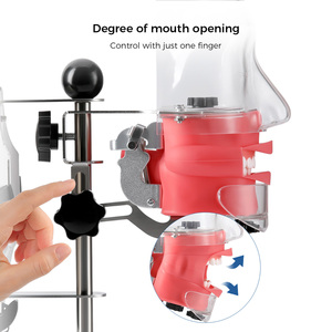 Dental Teaching Head Model <strong>Fix</strong> on Chair with Lifelike Typodont <strong>Tooth</strong> Model - Product Image 6