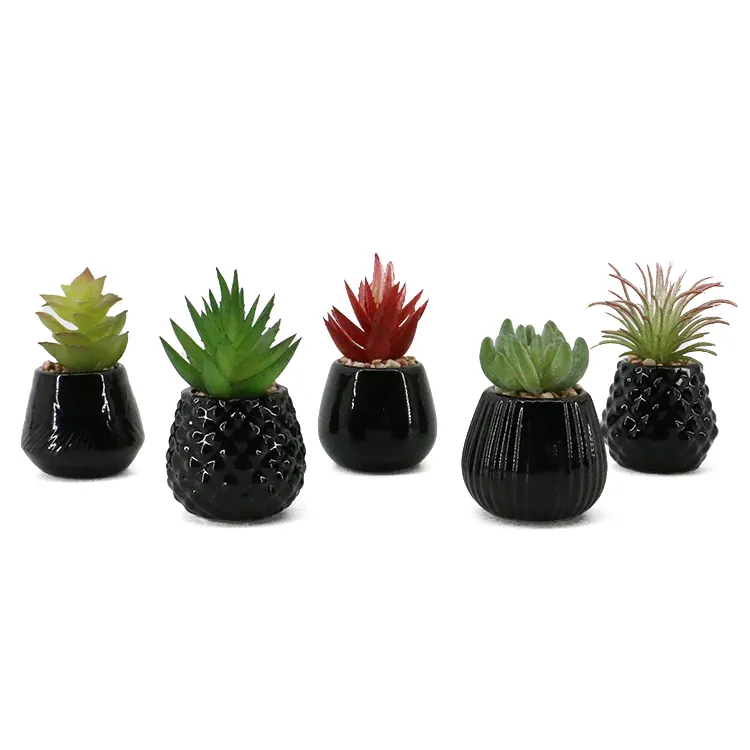 A buon mercato artificiale in ceramica naturale piante succulente bonsai con vaso di set per la decorazione domestica