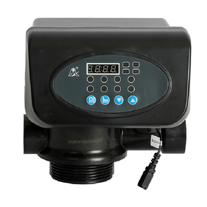 Valvola di controllo del filtro dell'acqua RUNXIN valvola del filtro automatico F71P1 54504 - Product Image 3