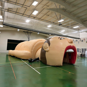 Winsun Inflatable thực tế tim và phổi mô hình cho y tế chủ đề quảng cáo tổ chức sự kiện phổi với khối u cho y tế - Product Image 6