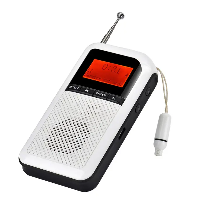 Nieuwe Beste Draagbare Digitale Fm Dab + Pocket Radio Met Oplaadbare Batterij