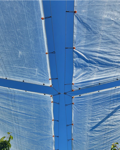PE Cherry <strong>Cover</strong> Fabric, Bird-proof, Dust-proof and Hail-proof, Fruit Protection <strong>Net</strong>, Cherry <strong>Tree</strong> Covering <strong>Net</strong> - Product Image 3