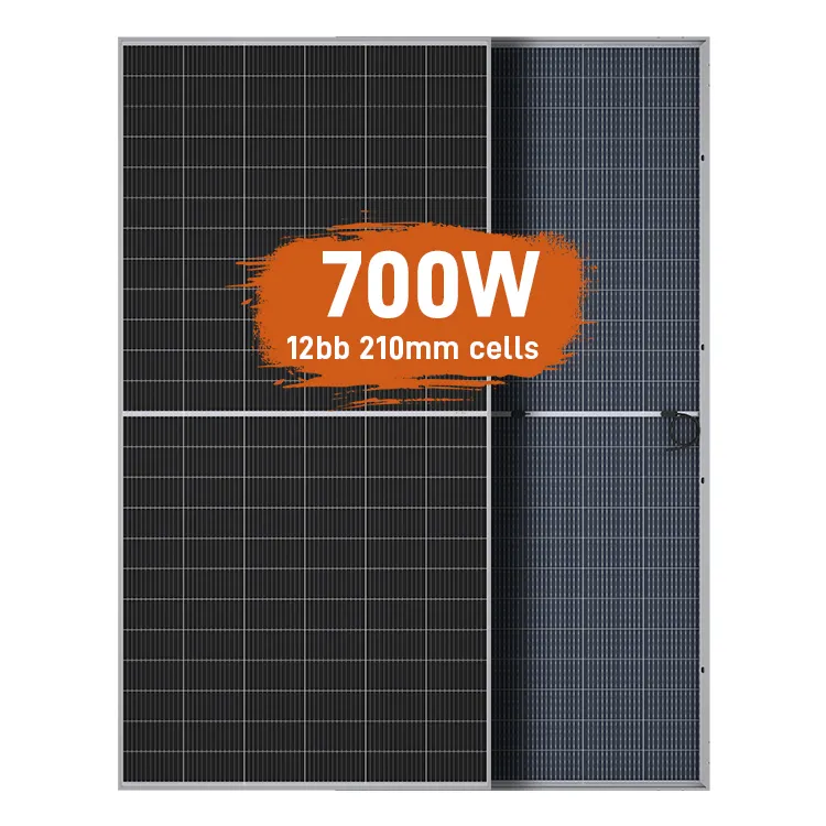 Module photovoltaïque solaire bifacial haute puissance HJT Pv 600 650 700 800 1000 Watt 600W 700W 800W Panneaux solaires 1000 W Prix