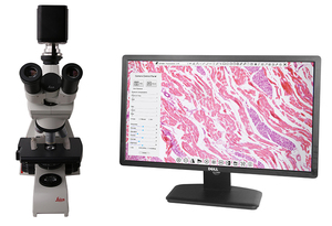 X7CAM4K8MPA 4K@ 72FPS USB3.0 Wireless Super High Speed <strong>Microscope</strong> Camera <strong>with</strong> Built-in <strong>Measurement</strong> <strong>Function</strong> - Product Image 4