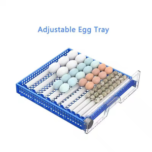 Yeni yükseltme Dc Ac güç 36 48 64 128 yumurta çıkım Couveuse Oeuf otomatik kuluçka makinesi tavuk yumurtası kuluçka için tarım - Product Image 6