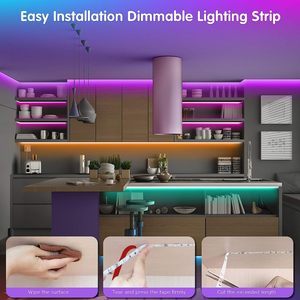 <strong>Special</strong> Offers 16.4ft 300 <strong>LEDs</strong>/m 5050 IP68 Waterproof MagicLight WiFi Smart <strong>LED</strong> Strip Lights, Smart Wireless APP Controlled