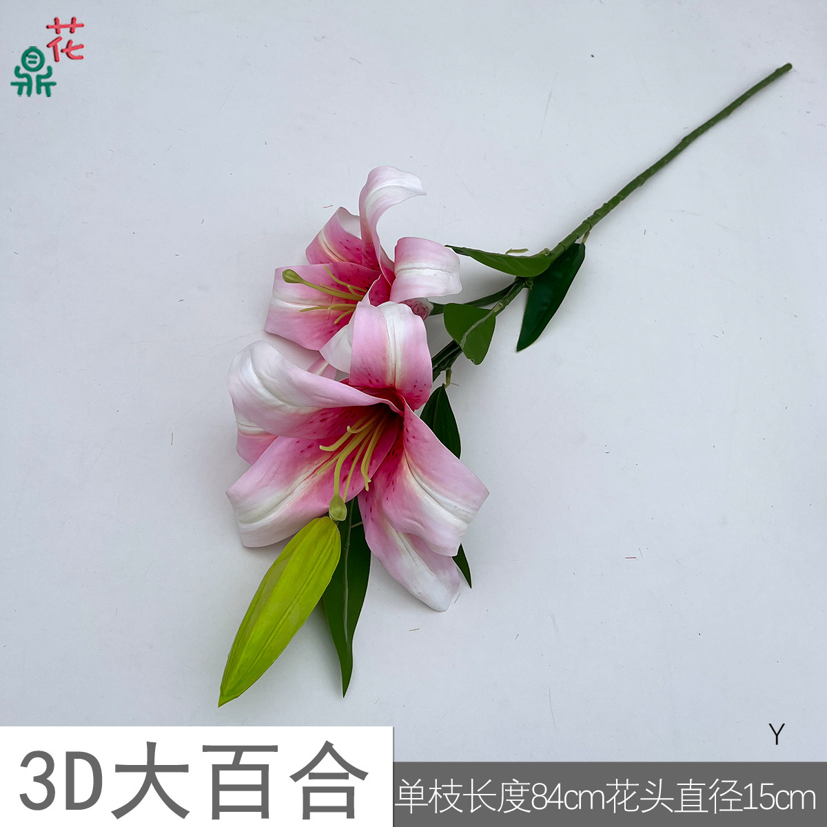 Lys 3D Y rose