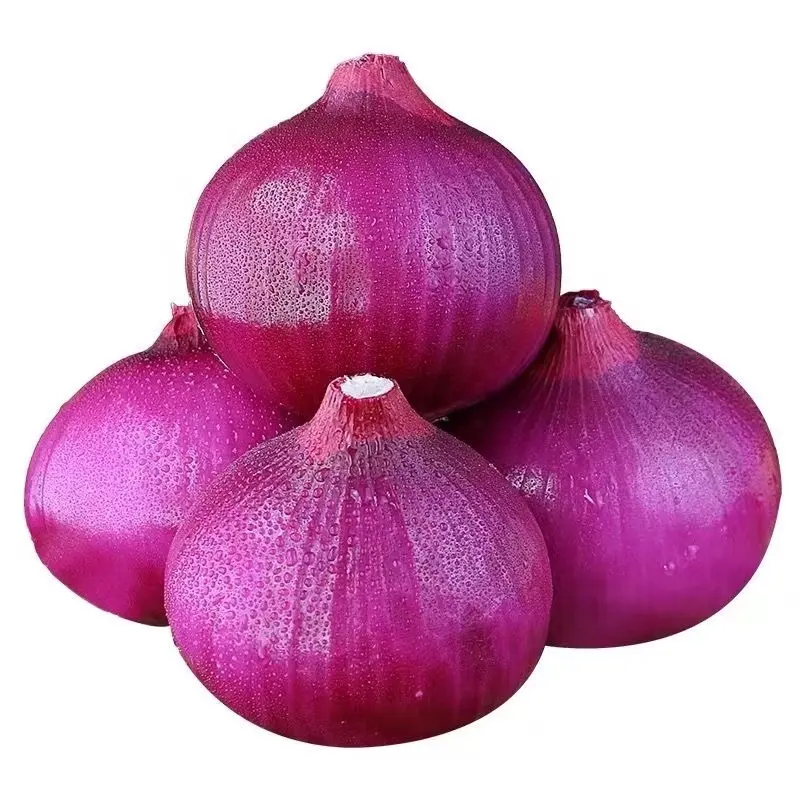 fresh red onions and yellow onion white price per ton in China from onions seeds exporter