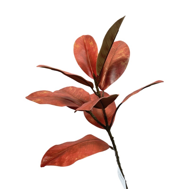 Rosso66CM