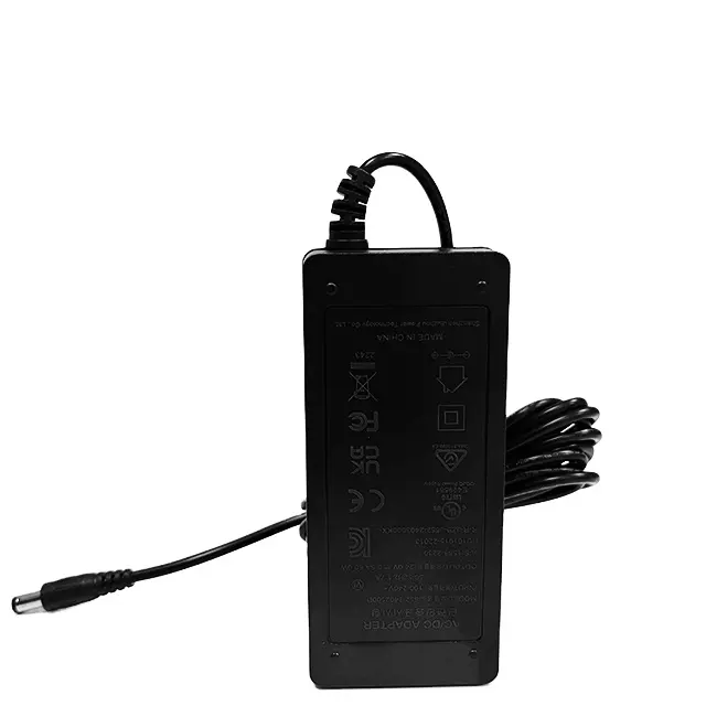 Universele Voeding 12V 60W Ac Naar Dc Adapter 5a Voor Nas Engergy Massager