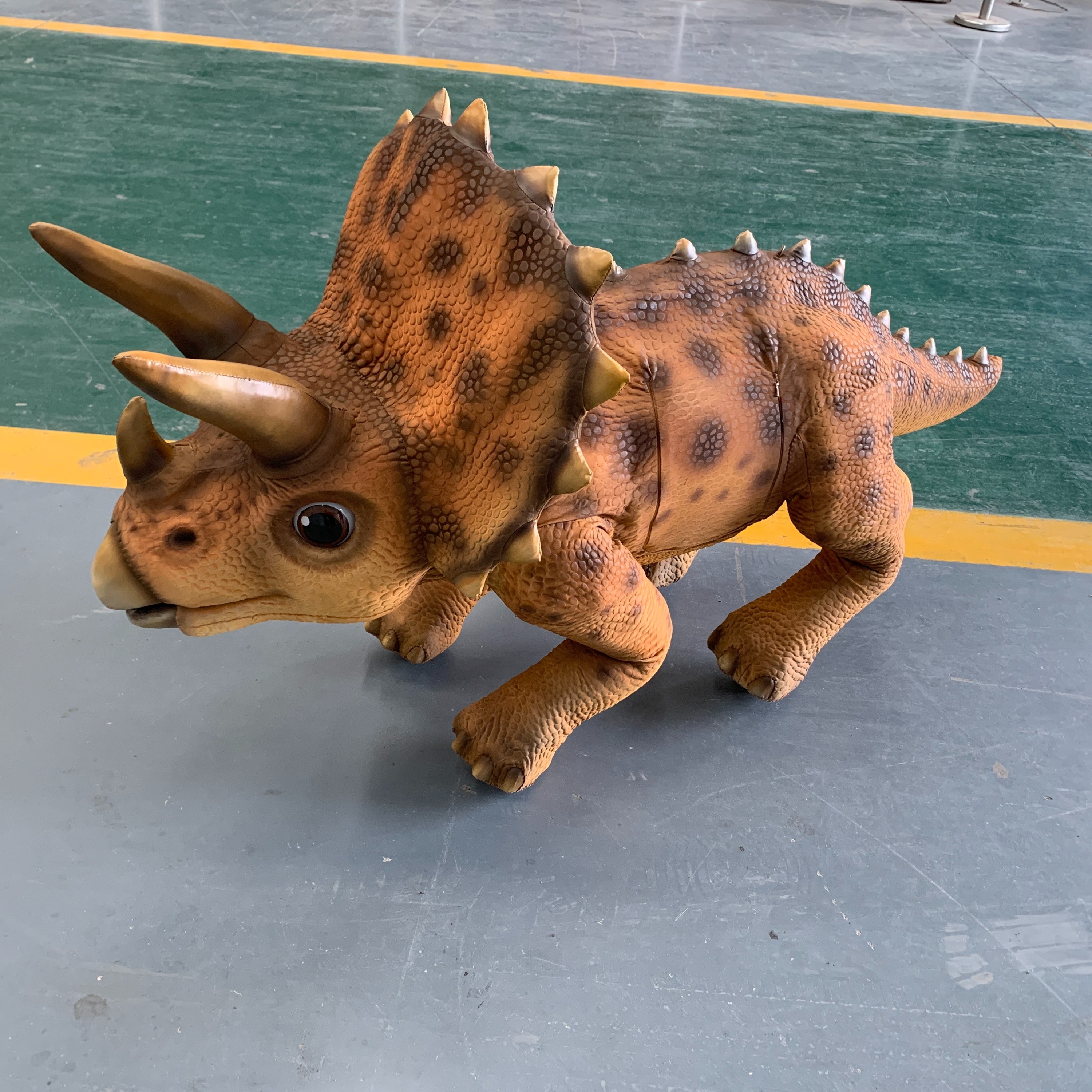 Triceratops