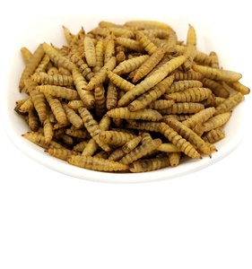 At sığır domuz balık köpek için yüksek Protein hayvan yemi-siyah asker Fly larva balık unu torbalarda paketlenmiş