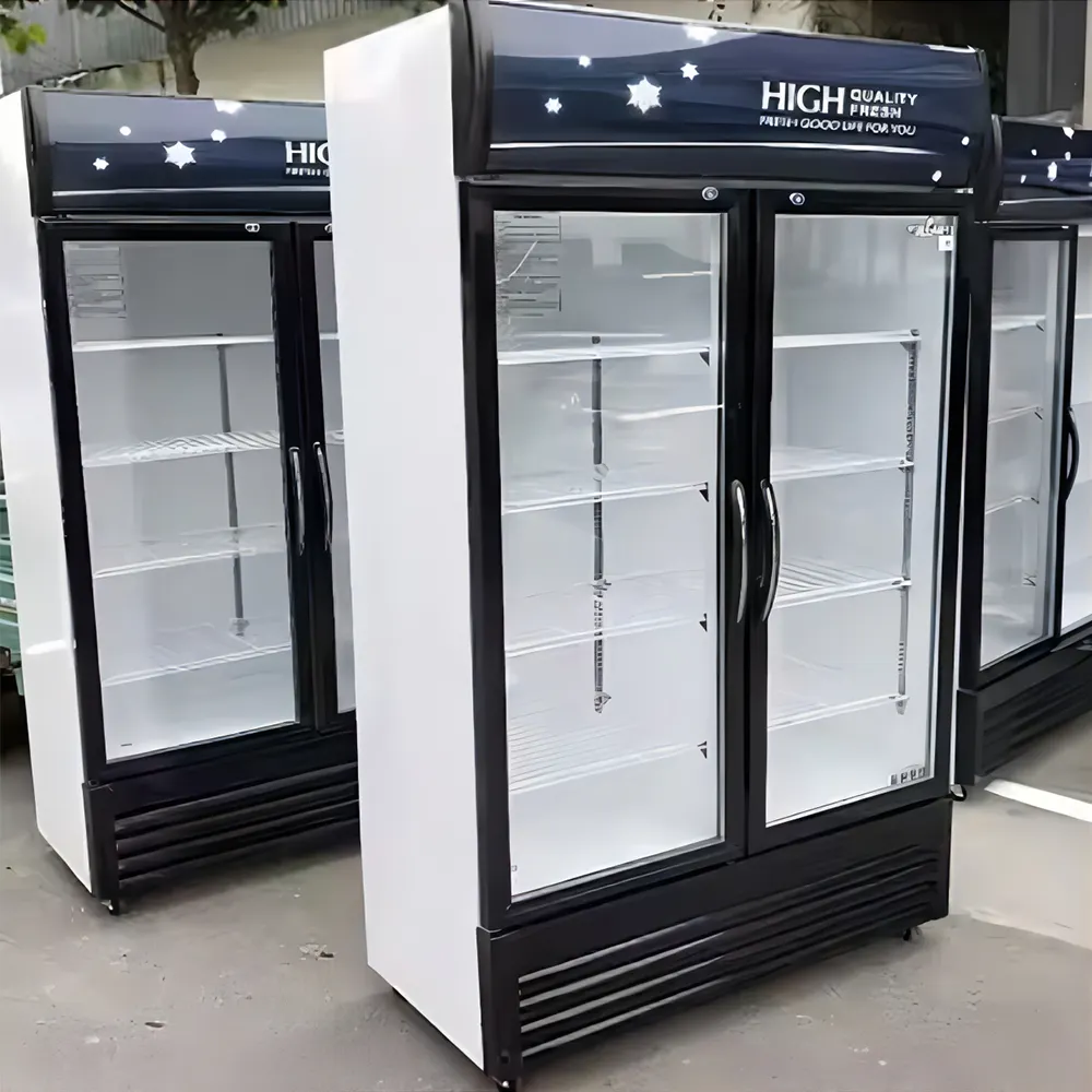 Frigidaire doble puerta Pepsi nevera frezzer congelador comercial 2 dors refrigerador enfriador refrigerado por aire