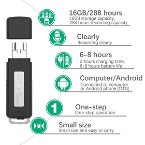 2GB 8GB voce Dictaphone Audio USB unità Flash registratore vocale - Product Image 5