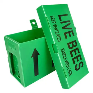 100% PP nhựa Bee Hive nghề nuôi ong Vua hộp đóng gói Hộp lưu trữ PP tấm nhựa cắt Board Polypropylene tấm hộp - Product Image 3