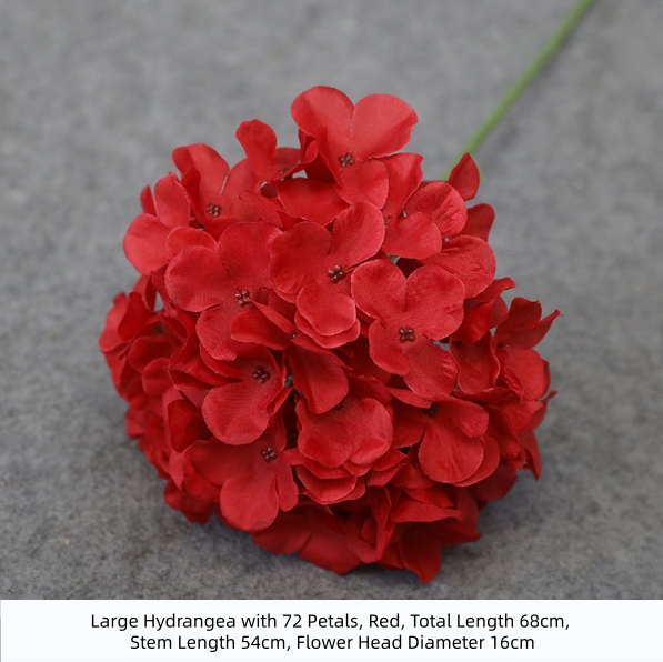 72-petaled Hydrangea