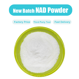 HACCP Сертифицированный 99% NAD пищевой никотинамид Аденин динуклеотид Nad + порошок - Product Image 2
