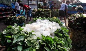 Máquina de hielo de bloques de 2 toneladas, fabricante de bloques de hielo de refrigeración directa para exposición de hielo de refrigeración de plantas, Industrial, de alta calidad